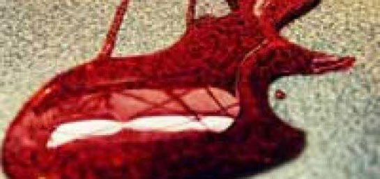 lace de papel